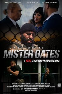 Мистер Гейтс